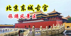 黄色一级片答答中国北京-东城古宫旅游风景区
